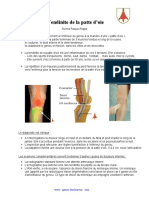 Tendinite Interne Du Genou Patte D Oie