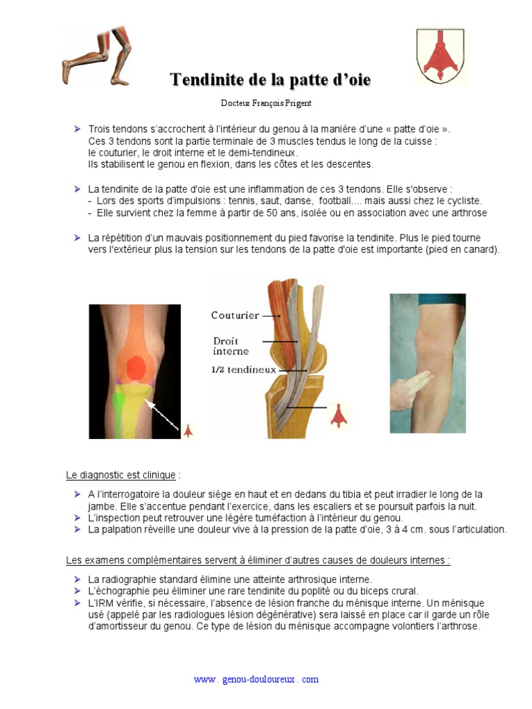 tendinite-interne-du-genou-patte-d-oie-pdf