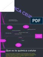 Quimica Celular