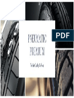 Neumatics Premium