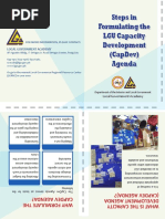 CapDev Brochure