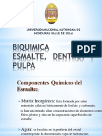 bioquimica-de-la-pulpa-dental-grupo.pptx