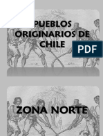 Power PUEBLOS ORIGINARIOS PDF