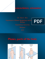 Anatomy: Nomenclature, Orientation