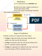 103 Lecture Ch23a