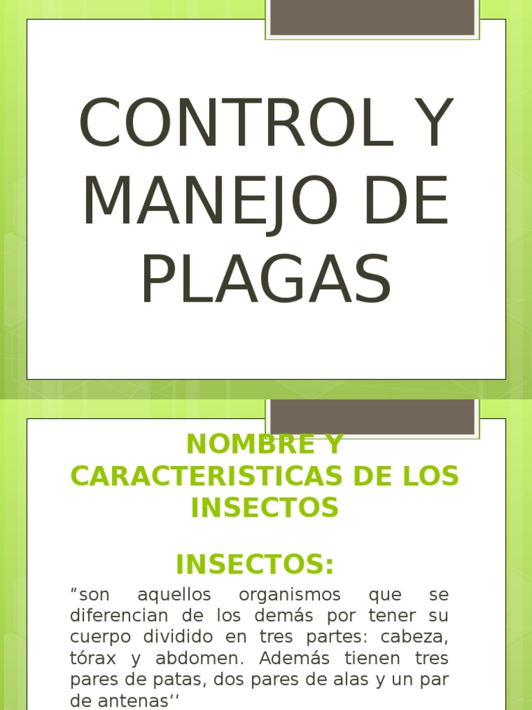 Evidencia Control y Manejo de Plagas | PDF | Insectos | Plaga (organismo)