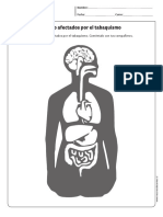 cn_cidelavida_5y6B_N11.pdf