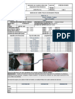 Inspeccion PT Polo3 Union 1 A 10 PDF