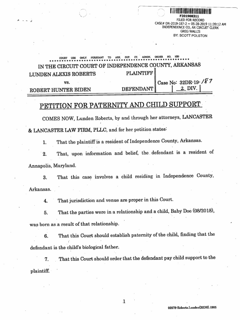 Lunden Roberts Hunter Biden