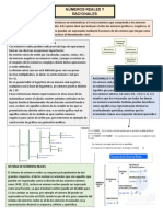 Numeros Reales y Racionales