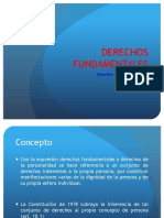 Derechos Fundamentales. Resumen.