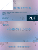 Células Tronco