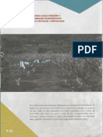 Resumen Proyecto Gutierrez Bolivia PDF