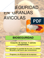 Bioseguridad en Granjas Avicolas