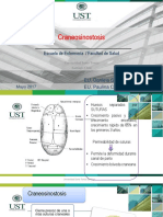 Craneosinstosis.pdf