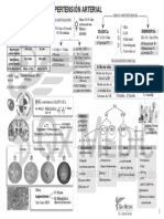 Hipertencion Arterial PDF