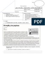 Control de Lectura 6° Básico Cuando Hitler Robo en Conejo Rosa.