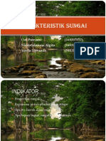 Karakteristik Sungai