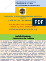 116318647-PROYECTO-CORONTA.pdf