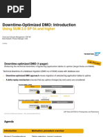 Downtime-Optimized DMO Intro 2019 01