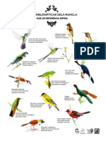 Guía de Referencia de las Aves de la RUMCLA