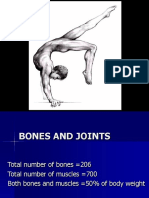02 Bones and Joints New