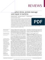 Reviews: Oxidative Stress, Protein Damage and Repair in Bacteria