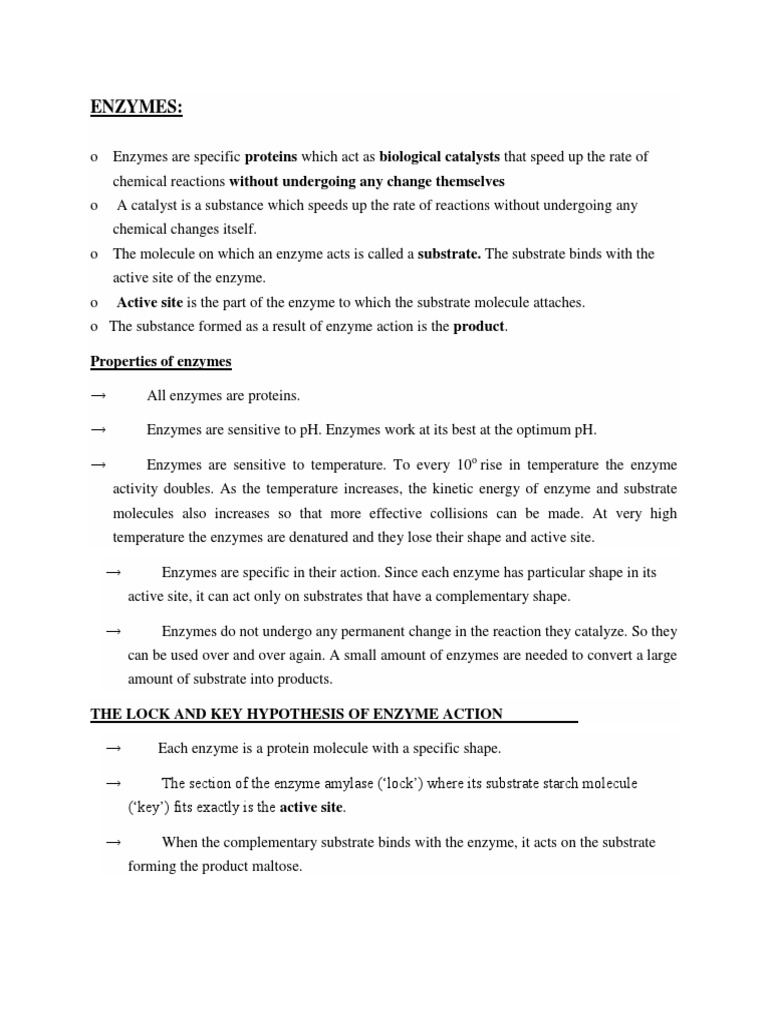 Enzyme Properties and Temperature Effects | PDF | Active Site ...