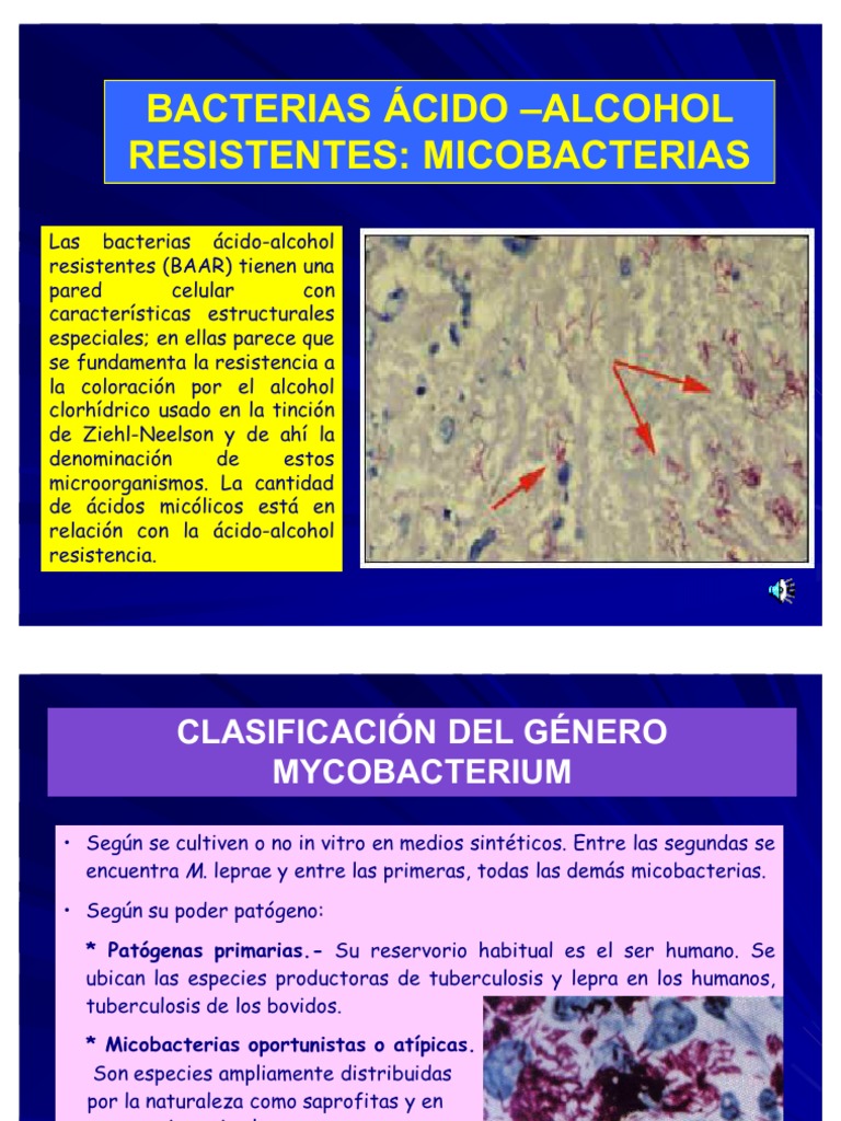 Bacterias Acido Alcohol Resistentes Micobacteriass | PDF | Tuberculosis ...