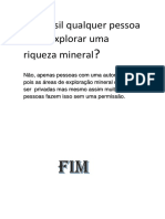 No Brasil Qualquer Pessoa Pode Explorar Uma Riqueza Mineral