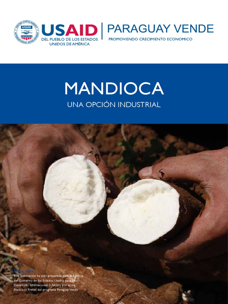 mandioca.pdf Raíz Agricultura
