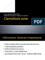 Clamidiosis Aviar