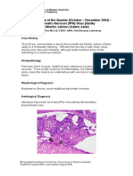 infectious_pancreatic_necrosis_(IPN)_virus_in_atlantic_salmon_oct_dec_2005.pdf