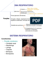 Aula Respiratorio 