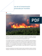 Efectos y Causas de La Contaminación Atmosférica Provocada Por Incendios Forestales