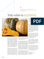 La Auyama PDF
