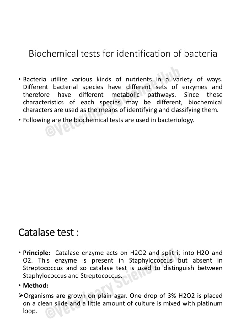 Biochemicaltestsforidentificationofbacteria.pdf Bacteria