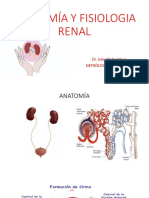 1 Anatomia Fisiologia Renal (1)