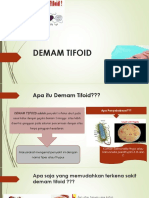 Demam Tifoid