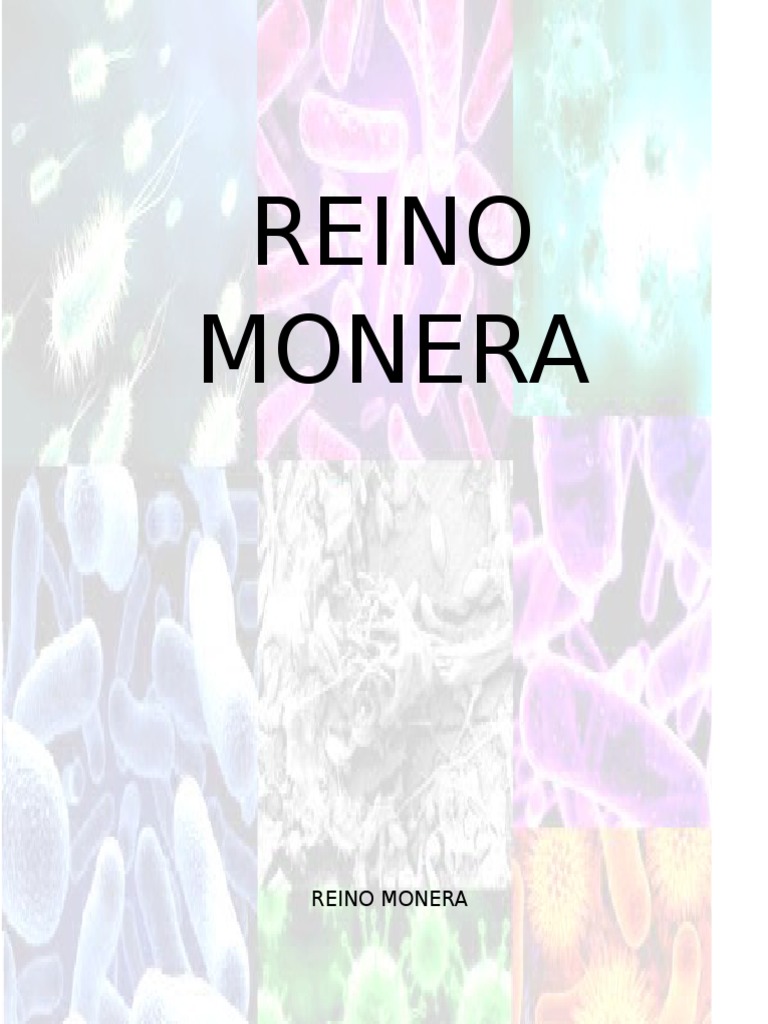 Introducción al Reino Monera | PDF | Plantas | Las bacterias