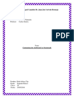 Contaminacion ambiental - Dalia Julissa Tije.docx