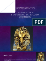 Resumo Livro Detetive Zack e o Mistério Do Chapéu Vermelho