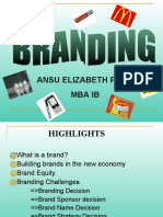 MBA IB Student's Brand Management Document