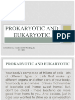 Prokaryotic and Eukaryotic Cell