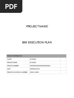 Typical Bim Execution Plan