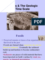 Fossils Geo Time