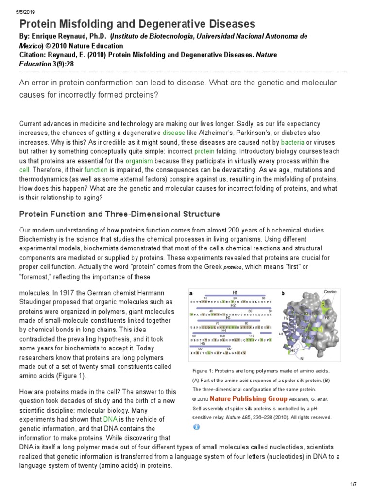 Protein Misfolding and Degenerative Diseases | PDF | Protein Folding ...