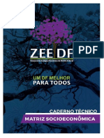 ZEEDF CT02 Matriz Socioeconomica 01 Dinamicas Socioeconomicas