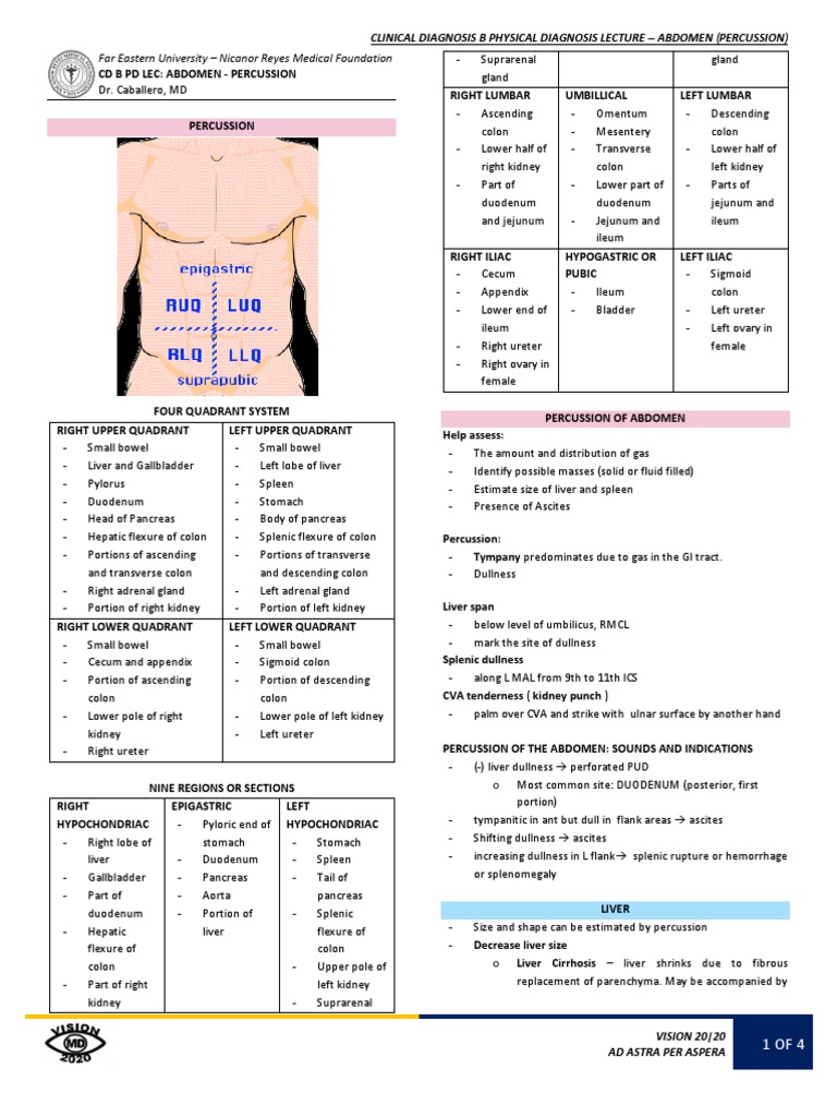 Abdominal Percussion Techniques and Findings | PDF | Hepatitis | Liver