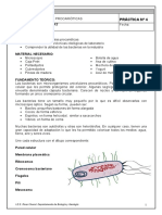Microsoft Word - bacterias.doc.pdf